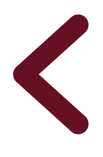Terug